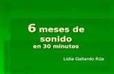 6 meses de sonido en 30 minutos Lidia Gallardo Rúa.