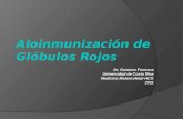 Aloinmunización de Glóbulos Rojos Dr. Gustavo Fonseca Universidad de Costa Rica Medicina Maternofetal-HCG 2011.