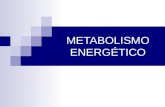 METABOLISMO ENERGÉTICO. METABOLISMO ENERGETICO Fuentes de Energía. - Concepto. Producción de trabajo. a).- Definición de energía. Se define la energía.