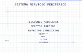 SISTEMA NERVIOSO PERIFERICO 2311 LESIONES MEDULARES EFECTOS TARDIOS EEFECTOS INMEDIATOS EQUIPO 7 OMAR VICTOR BERENICE.