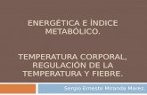 ENERGÉTICA E ÍNDICE METABÓLICO. TEMPERATURA CORPORAL, REGULACIÓN DE LA TEMPERATURA Y FIEBRE. Sergio Ernesto Miranda Marez.