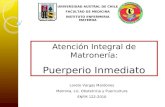 UNIVERSIDAD AUSTRAL DE CHILE FACULTAD DE MEDICINA INSTITUTO ENFERMERIA MATERNA Atención Integral de Matronería: Puerperio Inmediato Loreto Vargas Mardones.