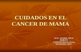 CUIDADOS EN EL CANCER DE MAMA MAT. MABEL RIOS PRIETO UNIDAD PATOLOGIA MAMARIA HBV.