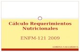 Cálculo Requerimientos Nutricionales ENFM-121 2009 LORENA GALLARDO G.