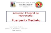 UNIVERSIDAD AUSTRAL DE CHILE FACULTAD DE MEDICINA INSTITUTO ENFERMERIA MATERNA Atención Integral de Matronería: Puerperio Mediato Loreto Vargas Mardones.
