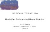 SESIÓN LITERATURA Revisión: Enfermedad Renal Crónica Dr. JL Górriz Hospital Universitario Dr Peset Valencia.