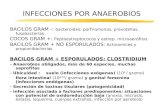 INFECCIONES POR ANAEROBIOS BACILOS GRAM -: bacteroides, porfiromonas, prevotellas, fusobacterias. COCOS GRAM +: Peptoestreptococos y estrep. microaerófilos.