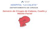 MINISTERIO DE SALUD Servicio de Cirugía de Cabeza, Cuello y Máxilo-Facial DEPARTAMENTO DE CIRUGIA HOSPITAL LA CALETA.