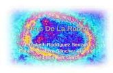 Virus De La Rabia Elizabeth Rodríguez Serrato Fabián Gustavo Sánchez Ancona David Sánchez García.
