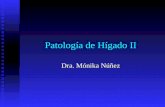 Patología de Hígado II Dra. Mónika Núñez. Hígado Desórdenes inflamatorios Desórdenes inflamatorios Incluye TB miliar Incluye TB miliar Malaria Malaria.