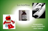 La morfina Integrantes: -Javier Meléndez -Jean Valera.