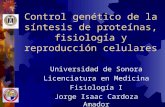 Control genético de la síntesis de proteínas, fisiología y reproducción celulares Universidad de Sonora Licenciatura en Medicina Fisiología I Jorge Isaac.