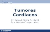 Dr. Juan A Sieira R.-Moret Dra. Marisa Crespo Leiro Tumores Cardiacos.