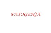 PATOGENIA. Patogenia 2 La patogenia o nosogenia es la secuencia de sucesos celulares y tisulares que tienen lugar desde el momento del contacto inicial.