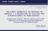 BRUCHOU, FERNÁNDEZ MADERO & LOMBARDI RECIENTE NORMATIVA EN MATERIA DE INGRESO Y LIQUIDACIÓN DE DIVISAS POR EXPORTACIONES DE MERCADERÍAS Resoluciones 142/12,