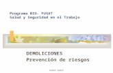 FUSAT-IERIC Programa BID- FUSAT Salud y Seguridad en el Trabajo DEMOLICIONES Prevención de riesgos.