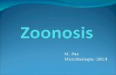 M. Paz Microbiología -2010. LISTERIOSIS Listeria monocytogenes Agente poco común transmitido por alimentos. Patógeno en embarazadas, recién nacidos y.