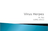 M. Paz (UMG 2011). Causa principal de enfermedad viral humana, después de los virus de influenza y del resfriado común. Causa enfermedad obvia o permanece.