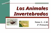 Los Animales Invertebrados Tema 3 – C.M. 5º Primaria.