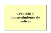 Creación y mantenimiento de índices. Introducción Creación de índices Opciones de creación de índices Mantenimiento de índices Introducción a las estadísticas.