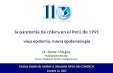 Octava Sesión de Análisis & Discusión SRSS SE-COMISCA Octubre 11, 2012 la pandemia de cólera en el Perú de 1991 vieja epidemia, nueva epidemiología Dr.