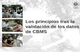 Los principios tras la validación de los datos de CBMS.