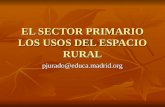 EL SECTOR PRIMARIO LOS USOS DEL ESPACIO RURAL pjurado@educa.madrid.org.