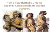 Homo neanderthalis y Homo sapiens: Coexistencia de las dos especies.