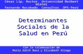 Determinantes Sociales de la Salud en Perú César Lip. Rector. Universidad Norbert Wiener Fernando Rocabado. Consultor. OPS-Perú Con la colaboración de.