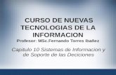 CURSO DE NUEVAS TECNOLOGIAS DE LA INFORMACION Profesor: MSc.Fernando Torres Ibañez Capitulo 10 Sistemas de Informacion y de Soporte de las Deciciones 1.