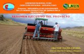 Proyecto: DESARROLLO DE CAPACIDADES DE LA CADENA PRODUCTIVA DE QUINUA EN LA REGIÓN PUNO GOBIERNO REGIONAL PUNO DIRECCIÓN REGIONAL AGRARIA PUNO RESUMEN.