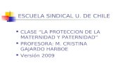 ESCUELA SINDICAL U. DE CHILE CLASE LA PROTECCION DE LA MATERNIDAD Y PATERNIDAD PROFESORA: M. CRISTINA GAJARDO HARBOE Versión 2009.