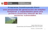 11 Programa Construyendo Perú: una propuesta de generación de empleo temporal y capacidades para una primera inserción laboral de los sectores vulnerables.