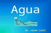 Agua DR. CESAR CUERO. EL AGUA - Bajo peso molecular -Forma estereoscópica -Neutralidad de carga.