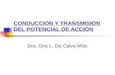 CONDUCCIÓN Y TRANSMISIÓN DEL POTENCIAL DE ACCIÓN Dra. Oris L. De Calvo MSc.