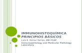 I MMUNOHISTOQUÍMICA PRINCIPIOS BÁSICOS Luis E. Ferrer Torres, MD FCAP Immunopathology and Molecular Pathology Laboratory.