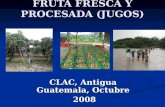 FRUTA FRESCA Y PROCESADA (JUGOS) CLAC, Antigua Guatemala, Octubre 2008 2008.