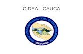 CIDEA - CAUCA. INTEGRANTES 1.Secretaria de Educación y Cultura del Cauca 2.Corporación Autónoma Regional del Cauca - CRC 3.Fundación Pro-cuenca Río las.