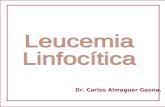 Dr. Carlos Almaguer Gaona.. Neoplasias Linfoproliferativas TipoCaracterística Leucemias Sangre/médula ósea. Linfomas Ganglios linfáticos/ Bazo - Hígado.