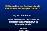 Estimación de Reducción de Emisiones en Proyectos MDL Ing. Oscar Coto, Ph.D. Curso Internacional ¨ Desarrollo de Proyectos de Reforestación y de Bioenergía.