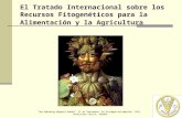 El Tratado Internacional sobre los Recursos Fitogenéticos para la Alimentación y la Agricultura The Habsburg Emperor Rudolf II as Vertumnus, by Giuseppe.