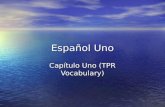 Español Uno Capítulo Uno (TPR Vocabulary). Capítulo uno vocabulario nuevo: hay There is/are.