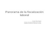 Panorama de la fiscalización laboral Renato Mejía Madrid Profesor de derecho laboral en la PUCP Abogado asociado de Miranda & Amado.