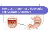 Tema 3: Anatomía y fisiología del Aparato Digestivo.