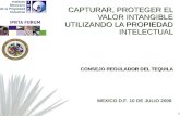 1 CAPTURAR, PROTEGER EL VALOR INTANGIBLE UTILIZANDO LA PROPIEDAD INTELECTUAL CONSEJO REGULADOR DEL TEQUILA MEXICO D.F. 10 DE JULIO 2008.