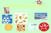 Las estaciones en español… Seasons in Spanish…. El invierno winter Los meses en el invierno… diciembre enero febrero.