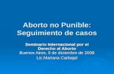 Aborto no Punible: Seguimiento de casos Seminario Internacional por el Derecho al Aborto Buenos Aires, 9 de diciembre de 2008 Lic.Mariana Carbajal.