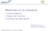 Molienda en la Industria Teoría básica Tipos de molinos Campo de aplicación RASCH S.A. de C.V. Ing. Antonio Valencia.