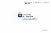 CONSEJO DE GOBIERNO 26 de febrero Estrategia de Empleo en Canarias 2008-13.