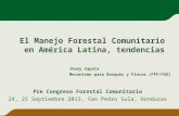 El Manejo Forestal Comunitario en América Latina, tendencias Pre Congreso Forestal Comunitario 24, 25 Septiembre 2013, San Pedro Sula, Honduras Jhony Zapata.